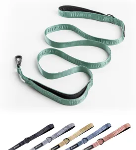 2025 New Edition, Fei & Eve Classic Dog Leash - 6FT, Dual Padded Handles, 360 Swivel Hook, Heavy Duty 210D Nylon - No-Pull Design with Traffic Control Handle - for Small/Medium/Large Dogs, Green
