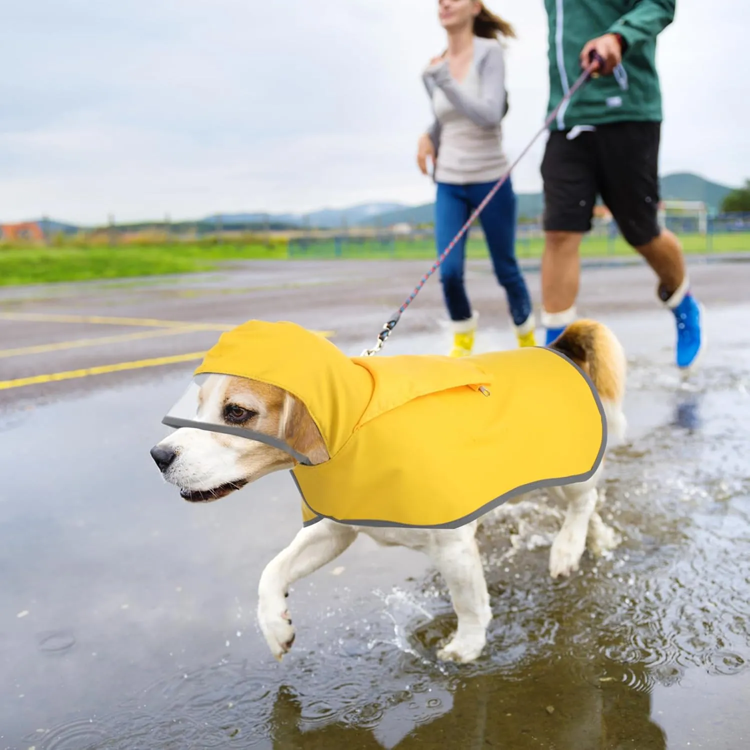 Abbylike Adjustable Waterproof Dog Raincoat Slicker Poncho for Small and Medium Dogs Puppies, with Transparent Hooded Double Layer, with Reflective Edges and Foldable Storage Bag(S)