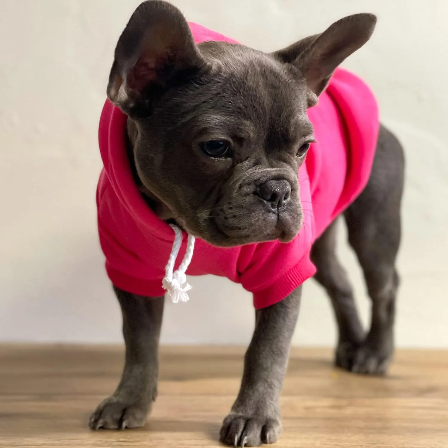 Big Sister Heart Paw Baby Announcement Dog Hoodie Fleece Lined Pullover Sweatshirt with Leash Hole (Grey, 4X-Large 86)