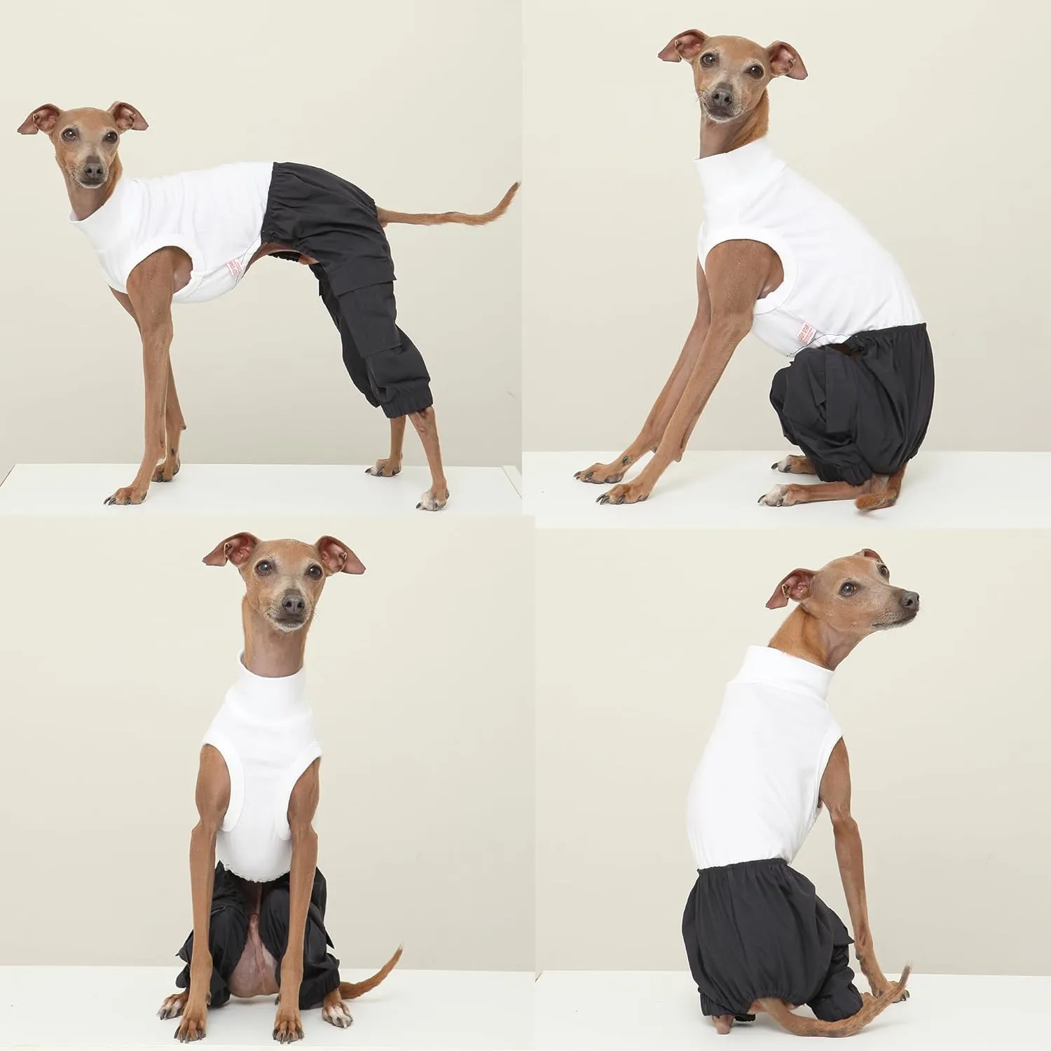 D Doggy Star Italian Greyhound Clothes Cargo Pants Onesie Outfit Whippet for Dog Coat (M,Navy Cargo)