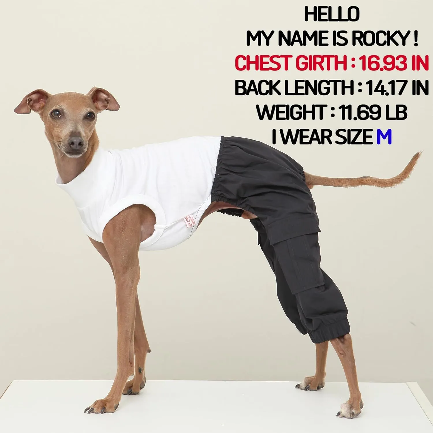 D Doggy Star Italian Greyhound Clothes Cargo Pants Onesie Outfit Whippet for Dog Coat (M,Navy Cargo)