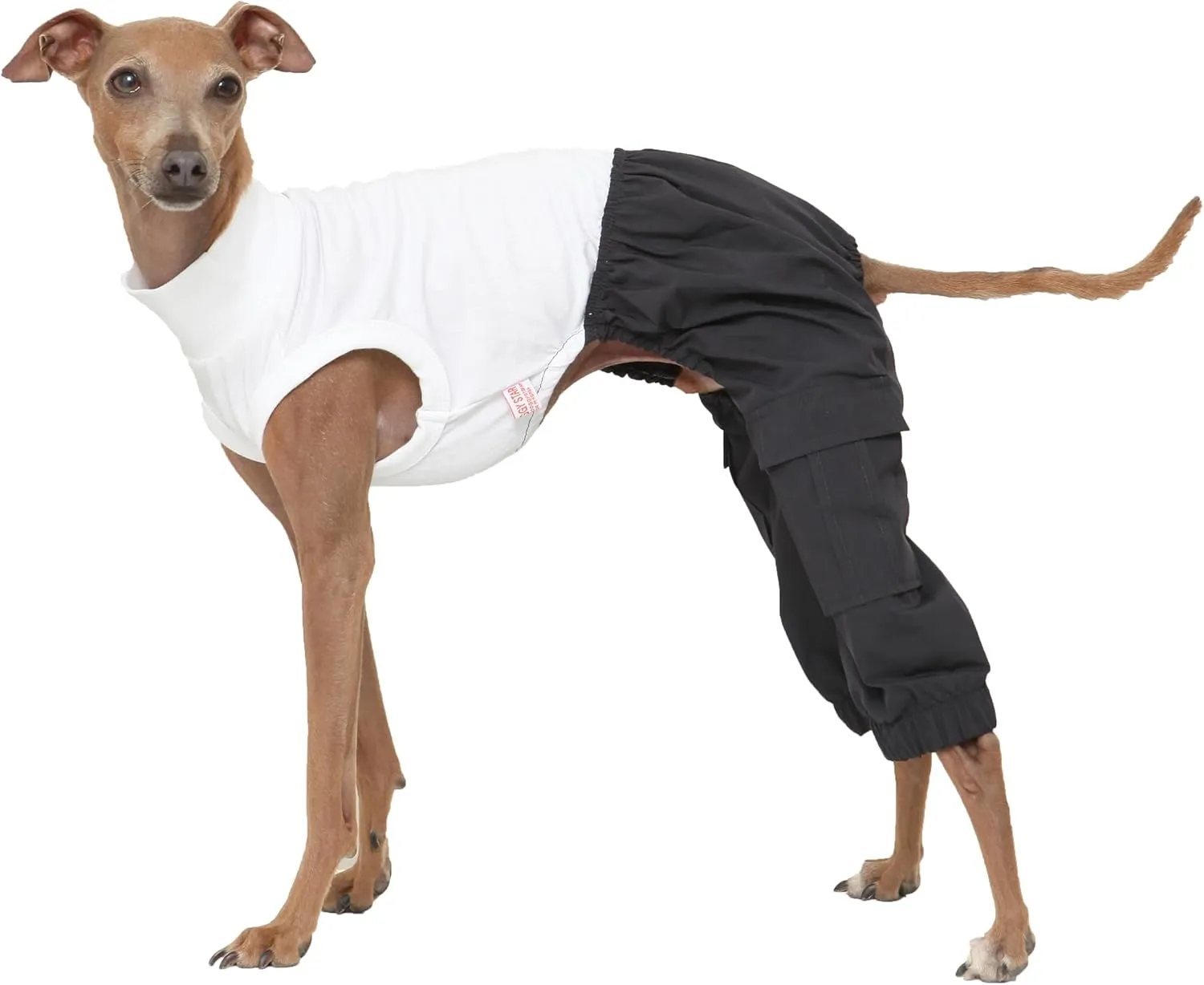D Doggy Star Italian Greyhound Clothes Cargo Pants Onesie Outfit Whippet for Dog Coat (M,Navy Cargo)