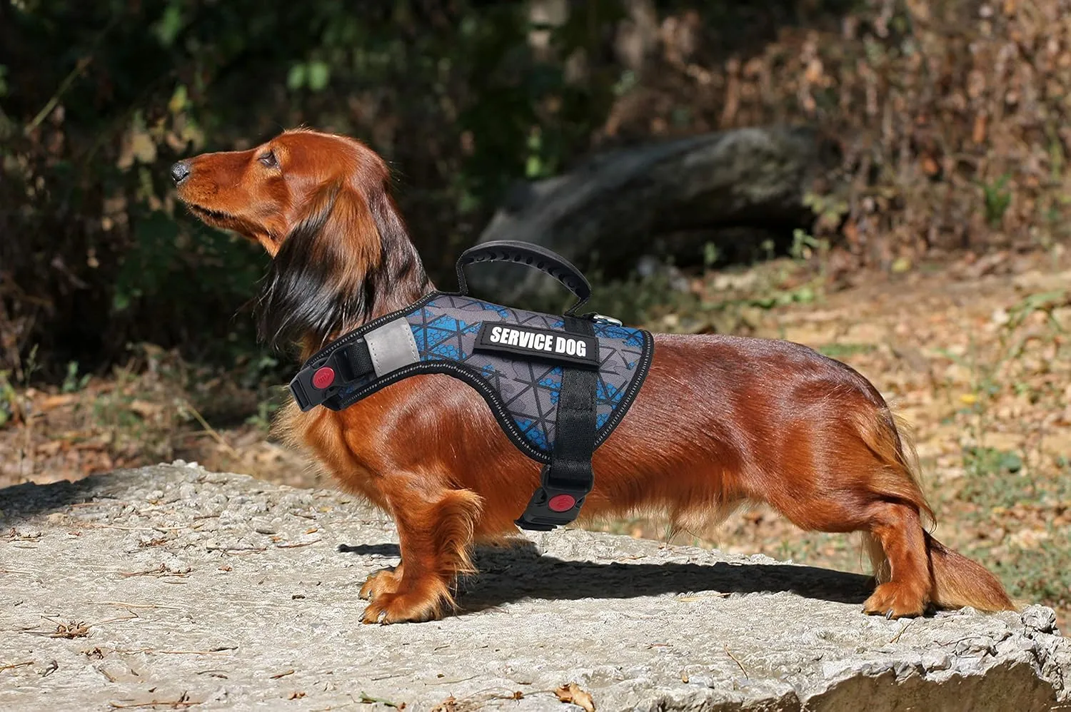 Dihapet Service Dog Harness, No-Pull No Choke Comfort Padded Dog in Training Vest, Adjustable Reflective