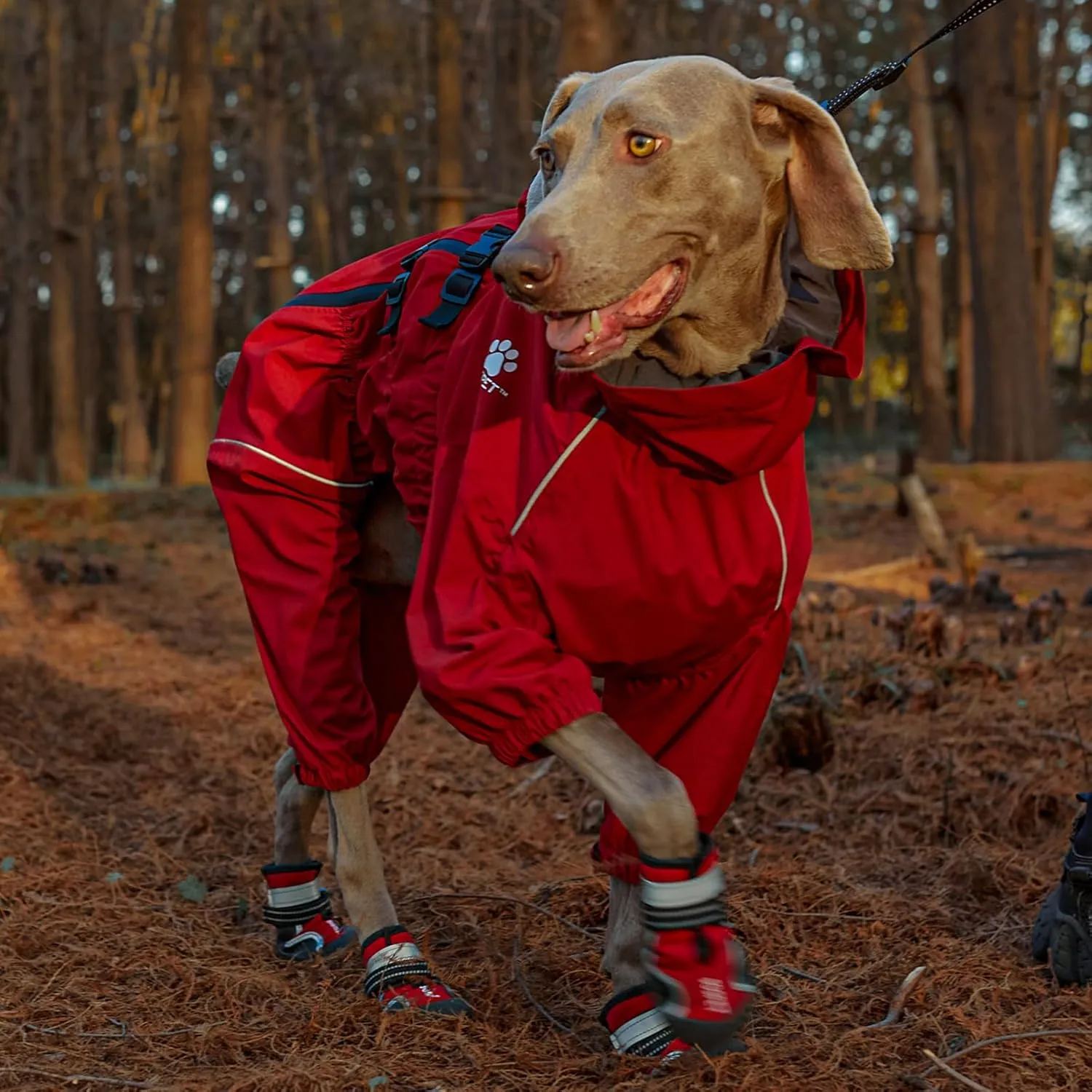 Dog Raincoat, Waterproof Winter Coat with Reflective Tape and Leash Holes, Lightweight &Windproof Jacket with Elasticized Belly and Cuff Designs,Red Dog Raincoat with Side Zipper