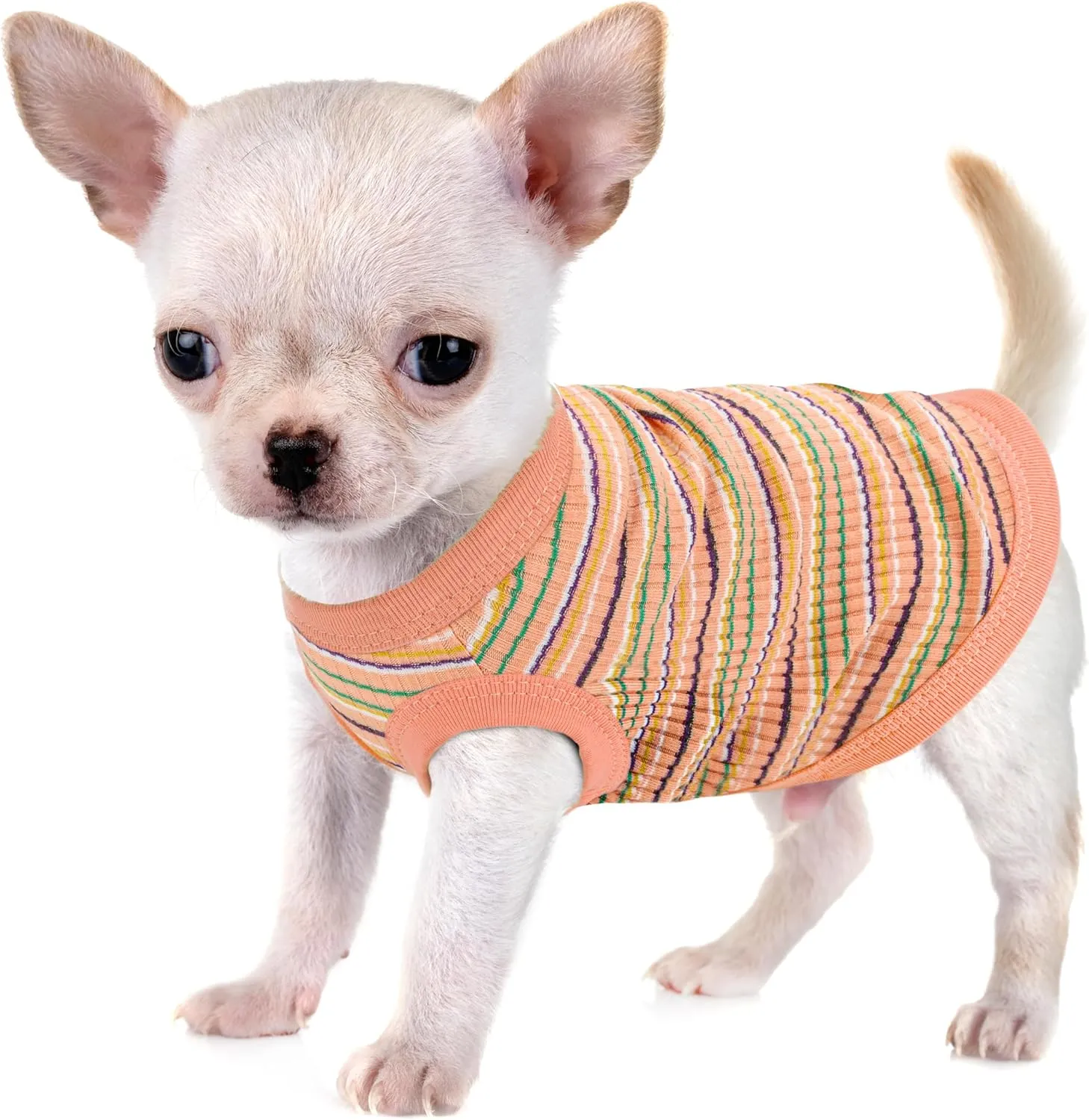 Elevate Your Pet's Comfort and Fashion: Premium 100% Cotton Rib Dog Shirt Vest for Small Breeds Like Chihuahuas, Yorkies, and Puppies .Year-Round Style with Tank-Style Puppy Attire Orange Medium