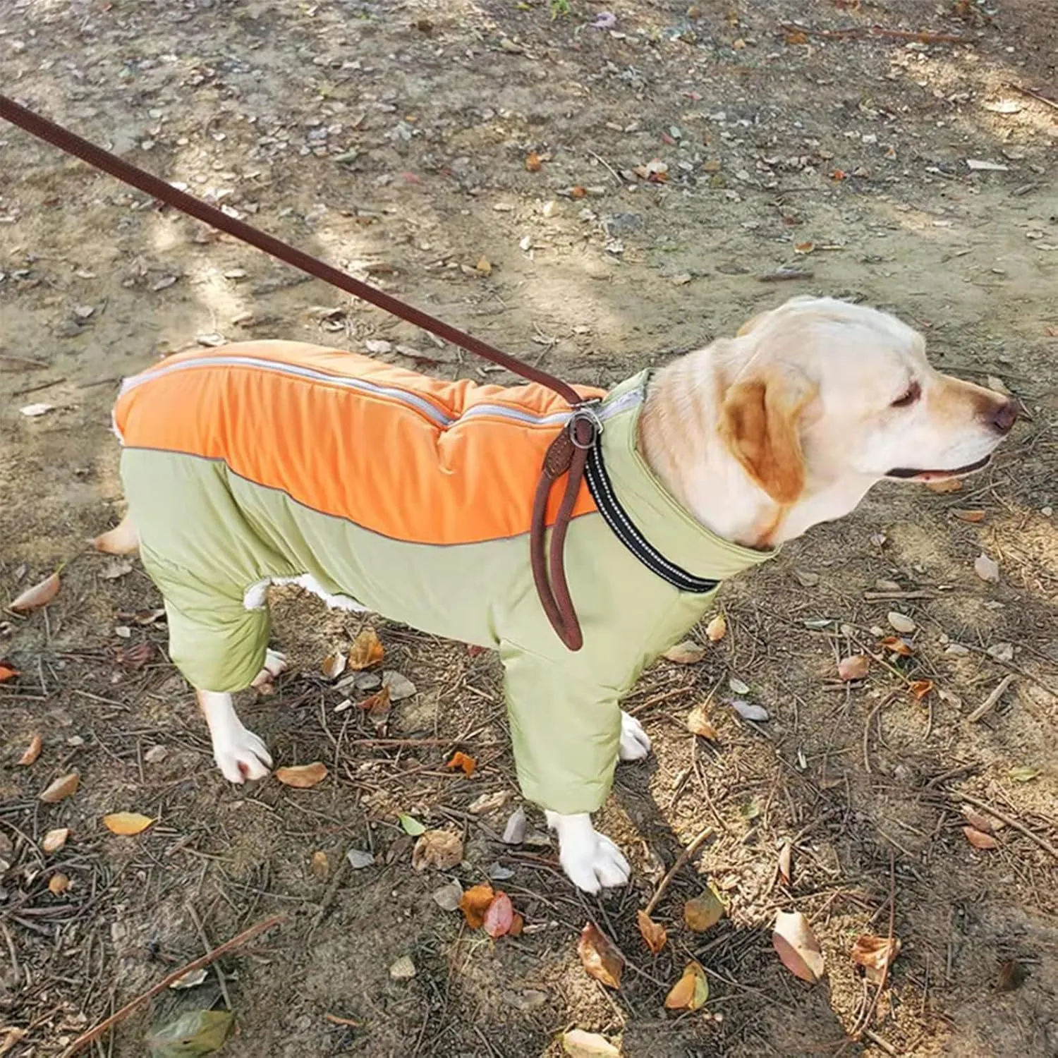 Four-Legged Thick Coat for Dogs, Zip Up Windproof Warm Winter Jacket, Reflective Waterproof Dog Snowsuit with Leash Ring, LightGreen,20