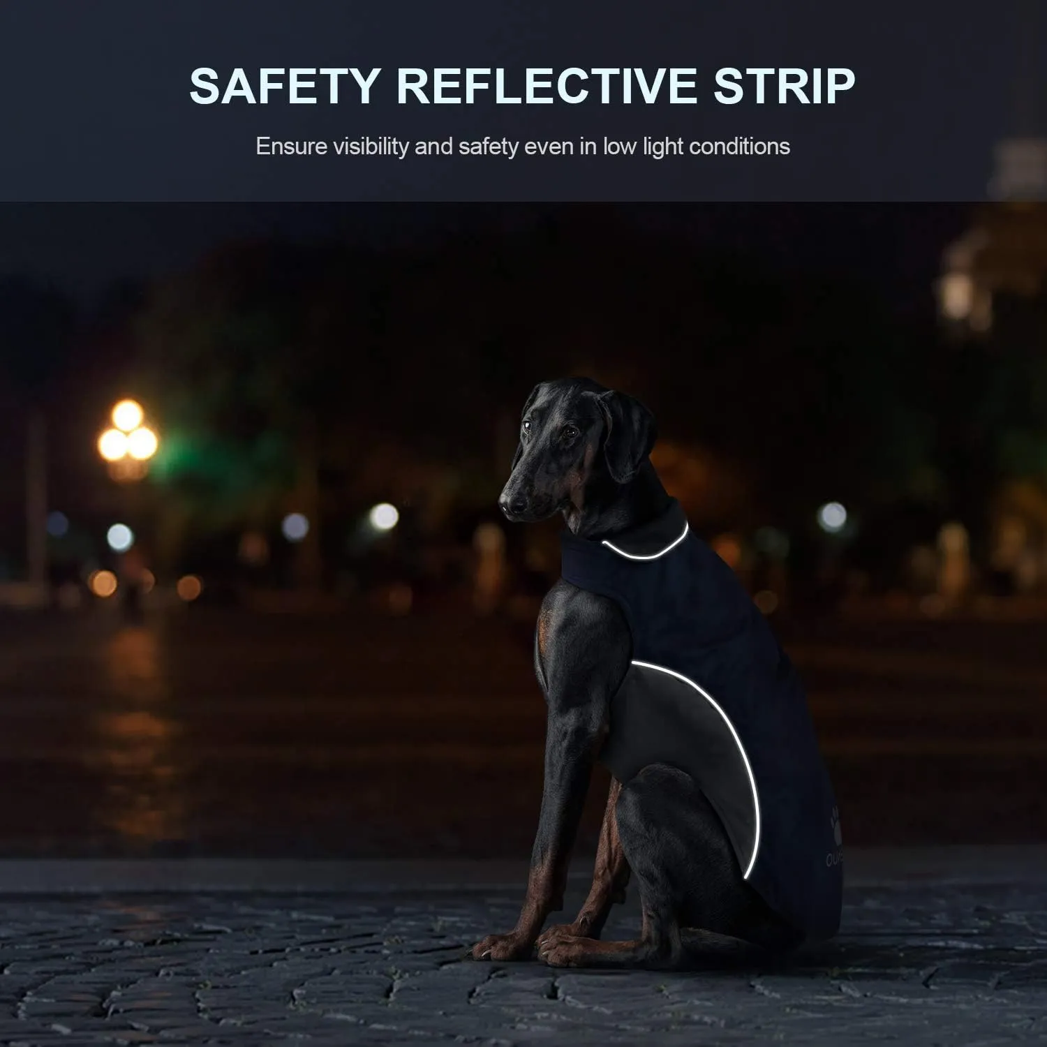 IREENUO Dog Raincoat, 100% Waterproof Dog Warm Jacket for Fall Winter, Rainproof Coat with Adjustable Velcro & Reflective Stripes for Medium Large Dogs (2XL, Blue)
