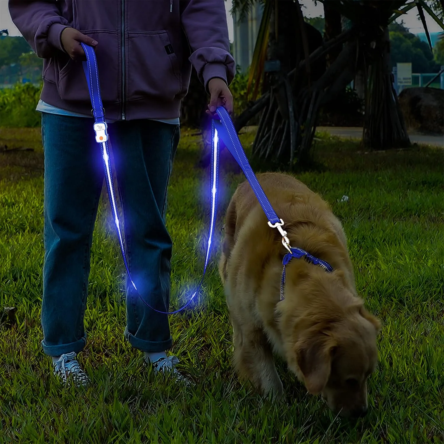 Led Dog Leash Rechargeable Waterproof 1000 ft Night Visibility LED Dog Leash - Padded Double Traffic Handle |10hr Battery Life, USB-C Quick Charging Light | Heavy Duty Durable Quality (Blue)