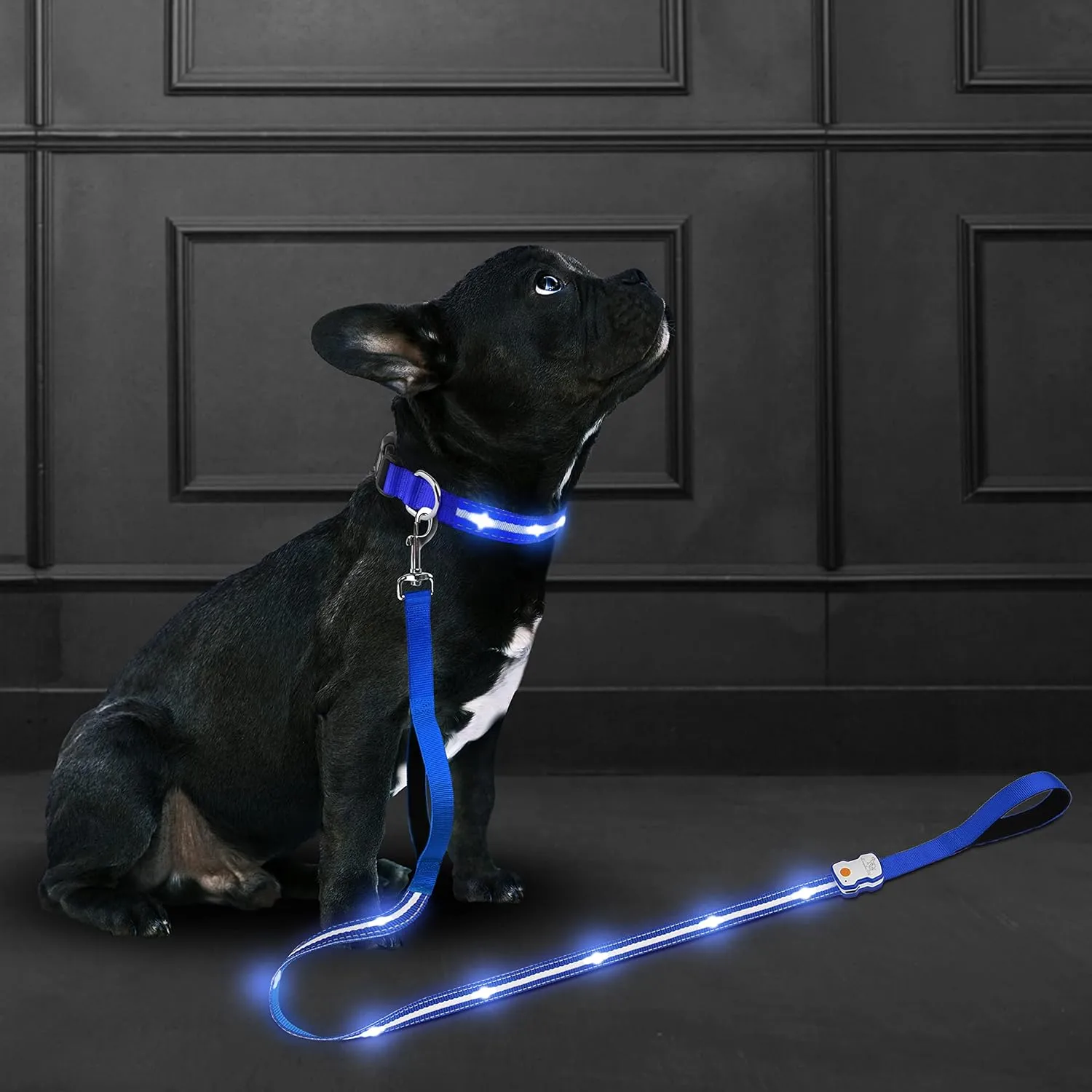Led Dog Leash Rechargeable Waterproof 1000 ft Night Visibility LED Dog Leash - Padded Double Traffic Handle |10hr Battery Life, USB-C Quick Charging Light | Heavy Duty Durable Quality (Blue)