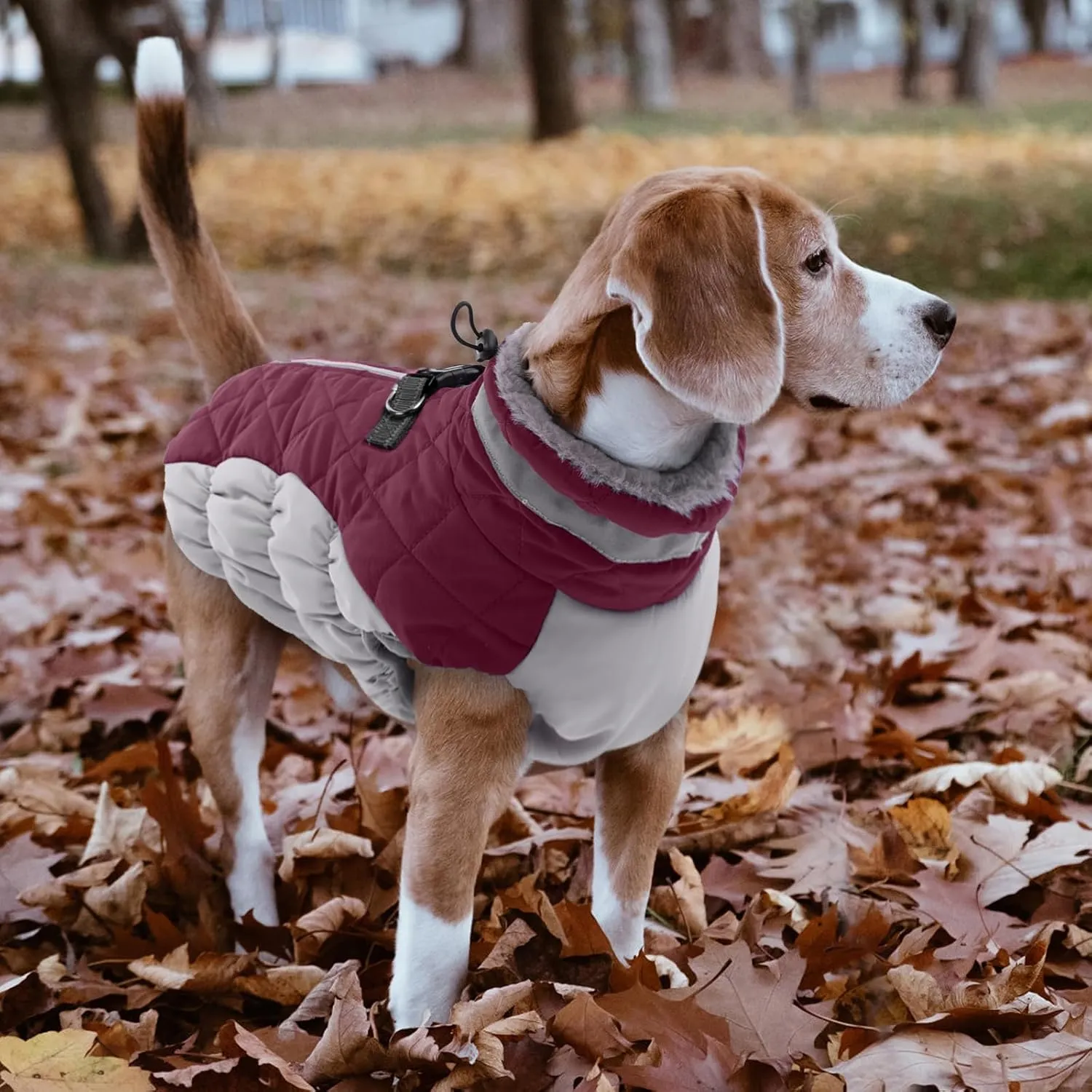Lelepet Warm Dog Winter Coat with Harness Built in, Waterproof, Padded, Windproof, Reflective, Fleece, Turtleneck, Zippered, Snow Coats for Dogs, Wine Red, XX-Large