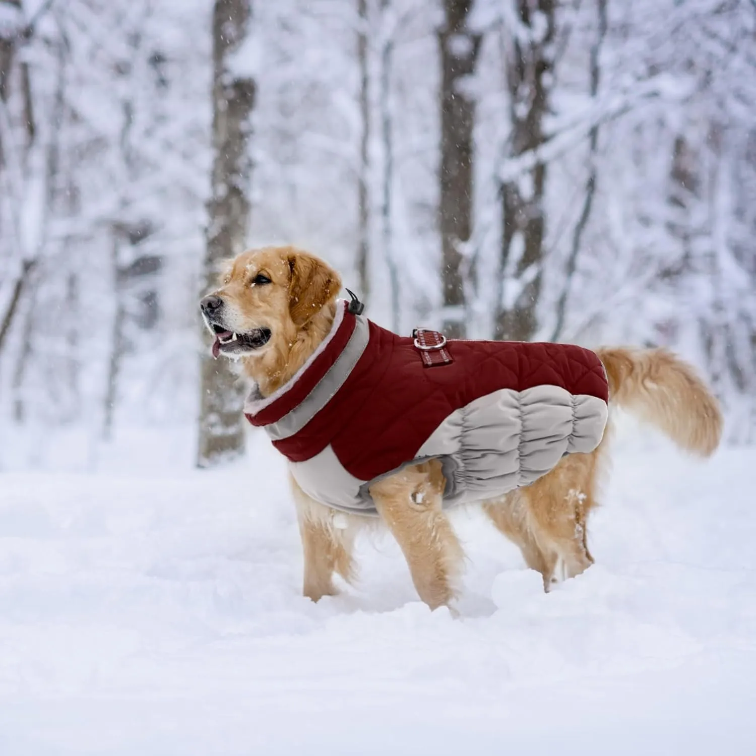 Lelepet Warm Dog Winter Coat with Harness Built in, Waterproof, Padded, Windproof, Reflective, Fleece, Turtleneck, Zippered, Snow Coats for Dogs, Wine Red, XX-Large