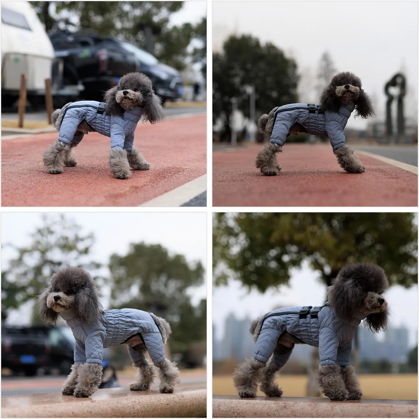 Lovelonglong Warm Dog Coat Double Layers Dog Vest, 4 Legs Covered Windproof Waterproof Reflective Warm Dog Vest Outdoor Skating Dog Costume for Small Medium Large Dogs Gray M