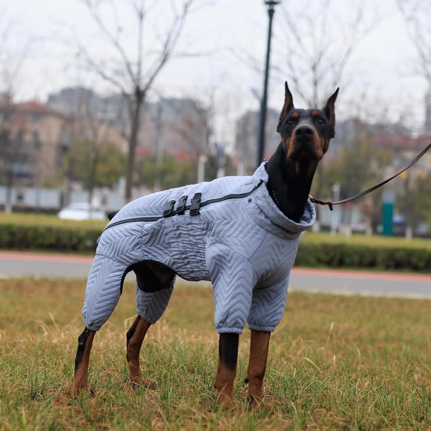 Lovelonglong Warm Dog Coat Double Layers Dog Vest, 4 Legs Covered Windproof Waterproof Reflective Warm Dog Vest Outdoor Skating Dog Costume for Small Medium Large Dogs Gray M