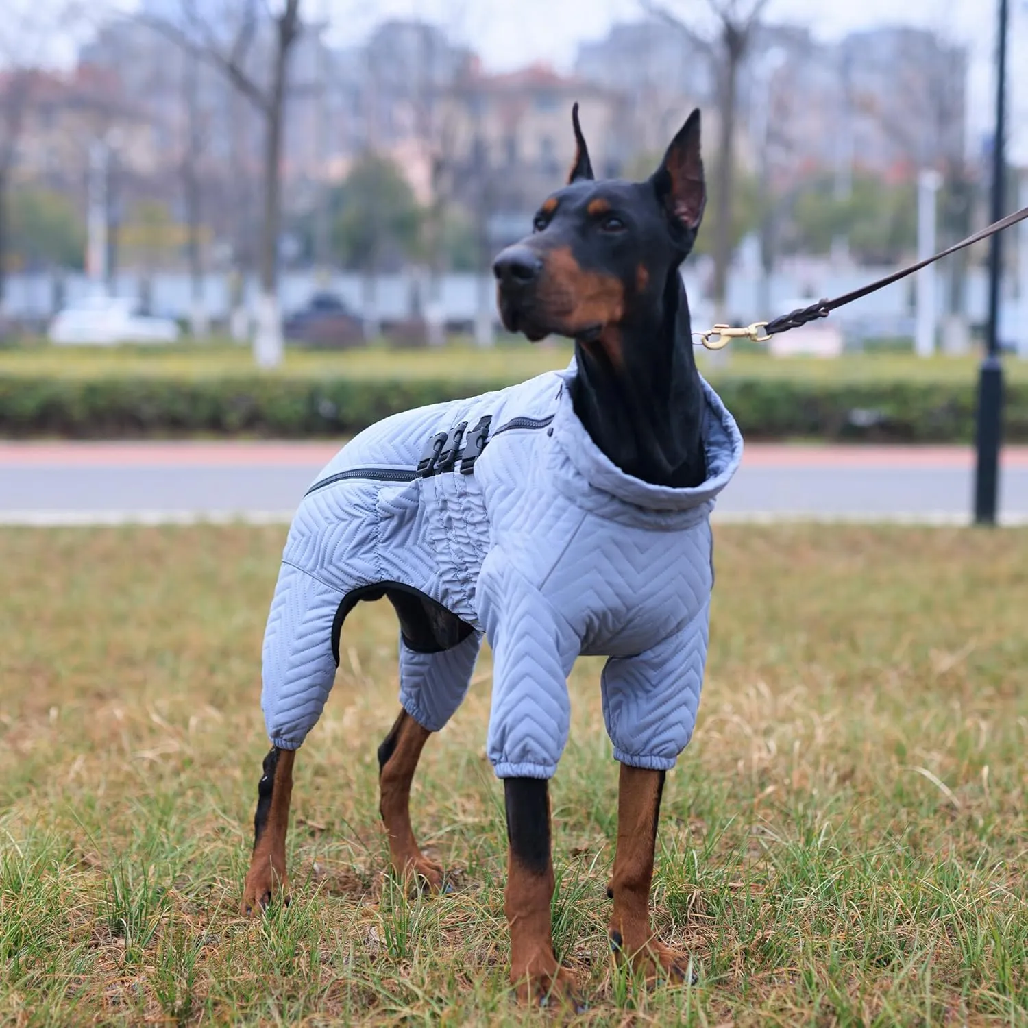 Lovelonglong Warm Dog Coat Double Layers Dog Vest, 4 Legs Covered Windproof Waterproof Reflective Warm Dog Vest Outdoor Skating Dog Costume for Small Medium Large Dogs Gray M