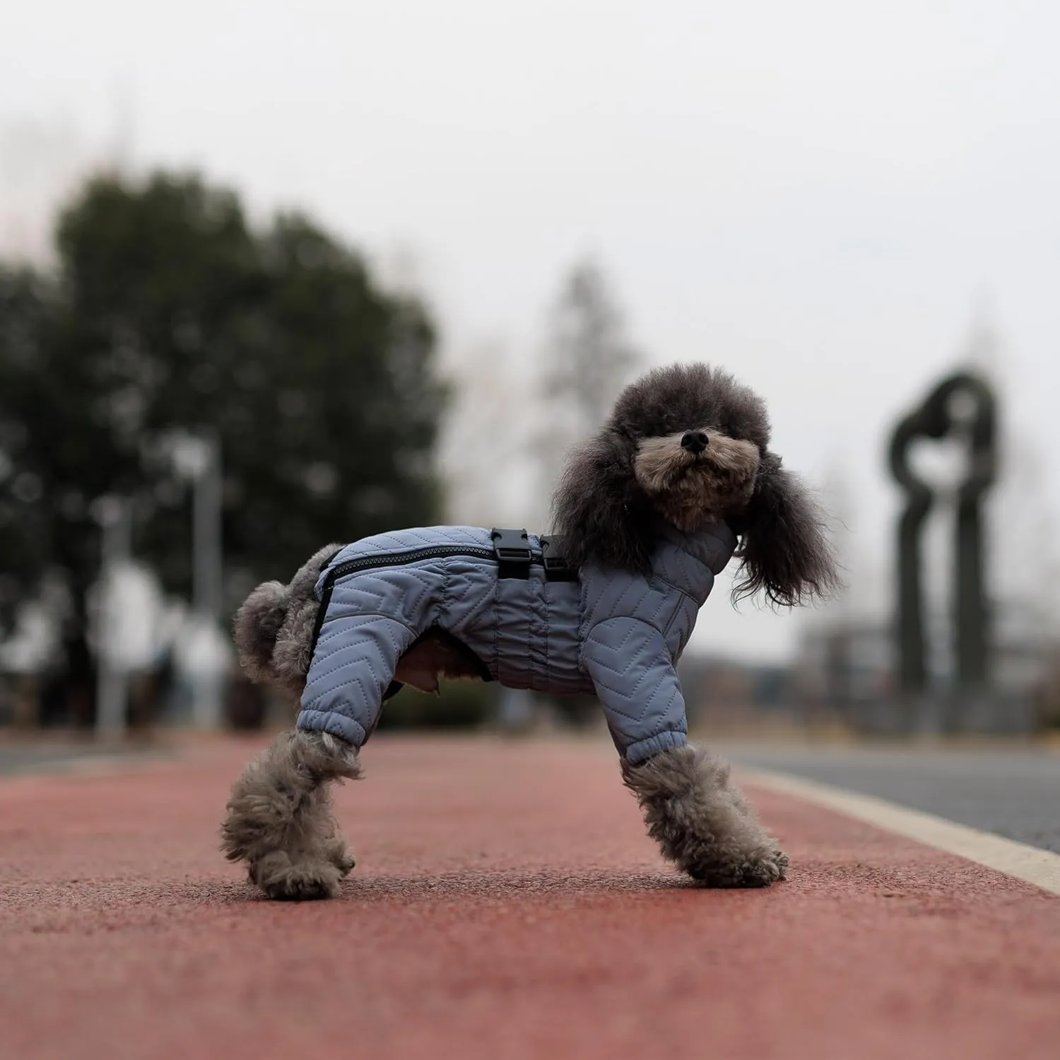 Lovelonglong Warm Dog Coat Double Layers Dog Vest, 4 Legs Covered Windproof Waterproof Reflective Warm Dog Vest Outdoor Skating Dog Costume for Small Medium Large Dogs Gray M