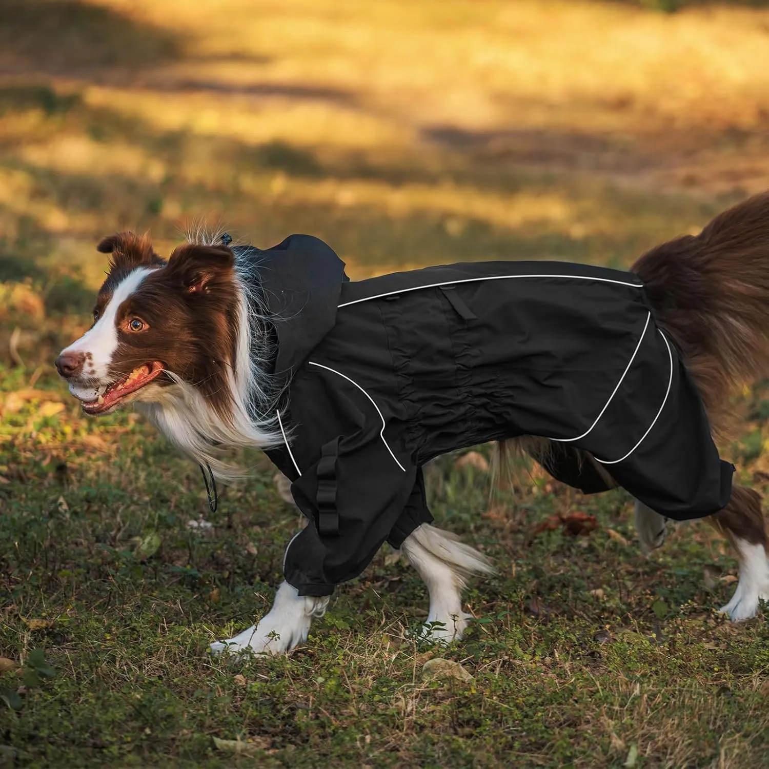 OneTigris Dog Raincoat with Hood for Medium Large Dogs, Waterproof & Reflective, 4 Legs Dog Rain Jacket Adjustable Puppy Poncho for The Rain and Snow (Black, Small)