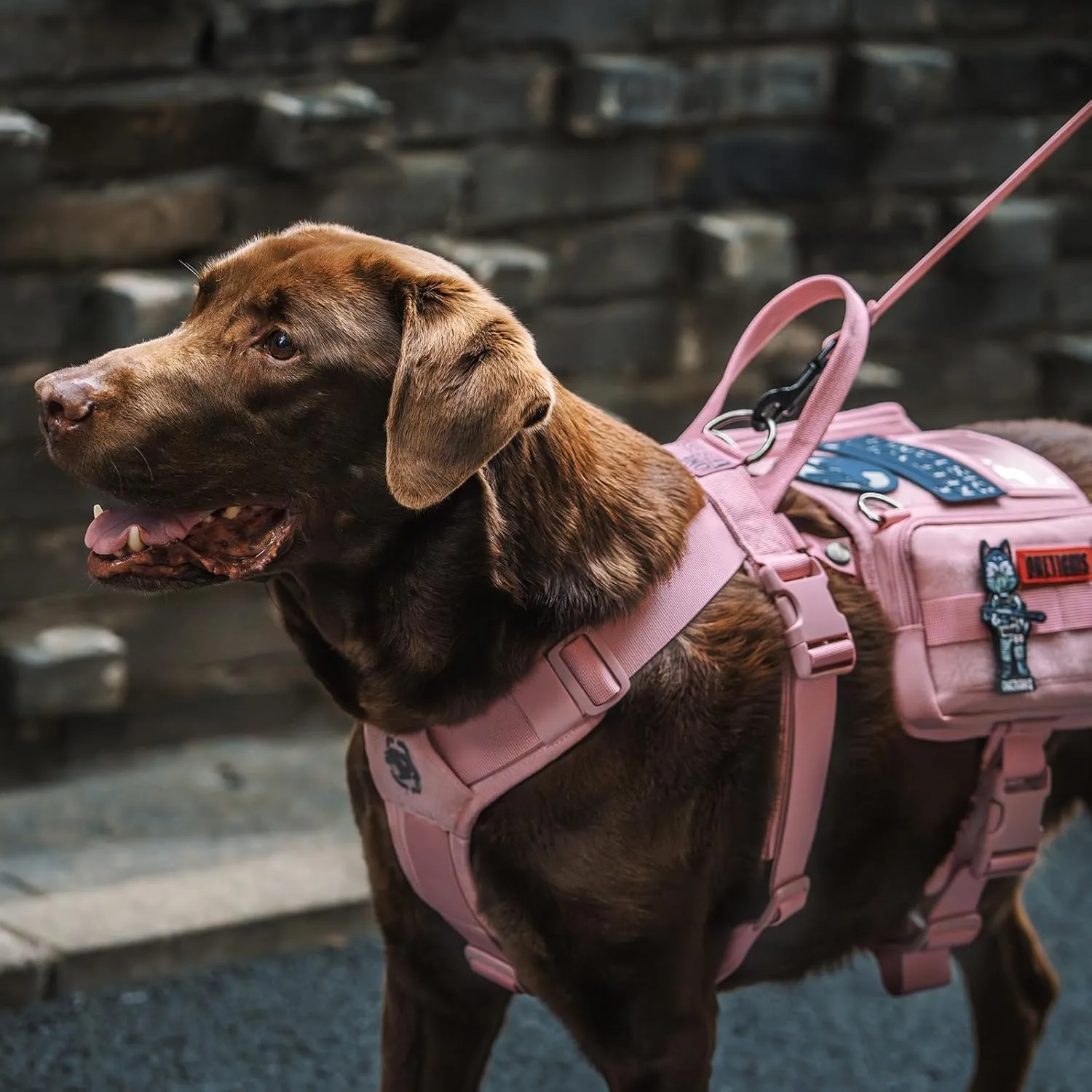 OneTigris Service Dog Vest Harness, Service Dog Cape Guardian Dog Backpack Harness with Pouches Dog Saddle Bag for Small Medium and Large Dogs (Pink, Large)