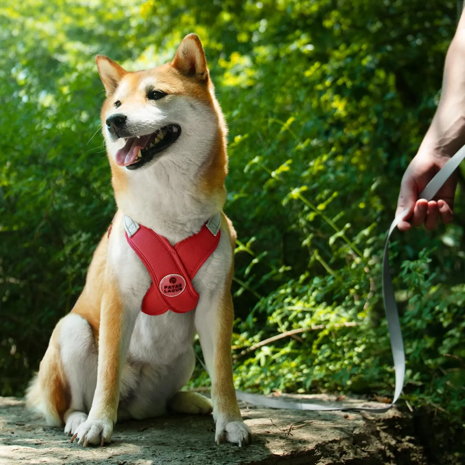 Patas Lague Dog Harness with Leash Set Adjustable Soft Padded Step-in Dog Vest No Choke No Pull Reflective for Small Medium Pets with Poop Bags and Dispenser, Solid and No-chew, Red S