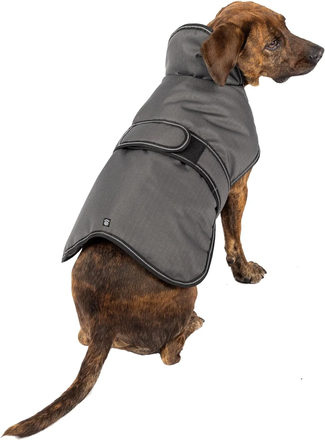 PetRageous 7303CGS Juneau Waterproof Winter Dog Coat with Full Chest Coverage and Leash Opening - 11-Inch Long Heavyweight Jacket for Small Dogs and Puppies, Charcoal Grey