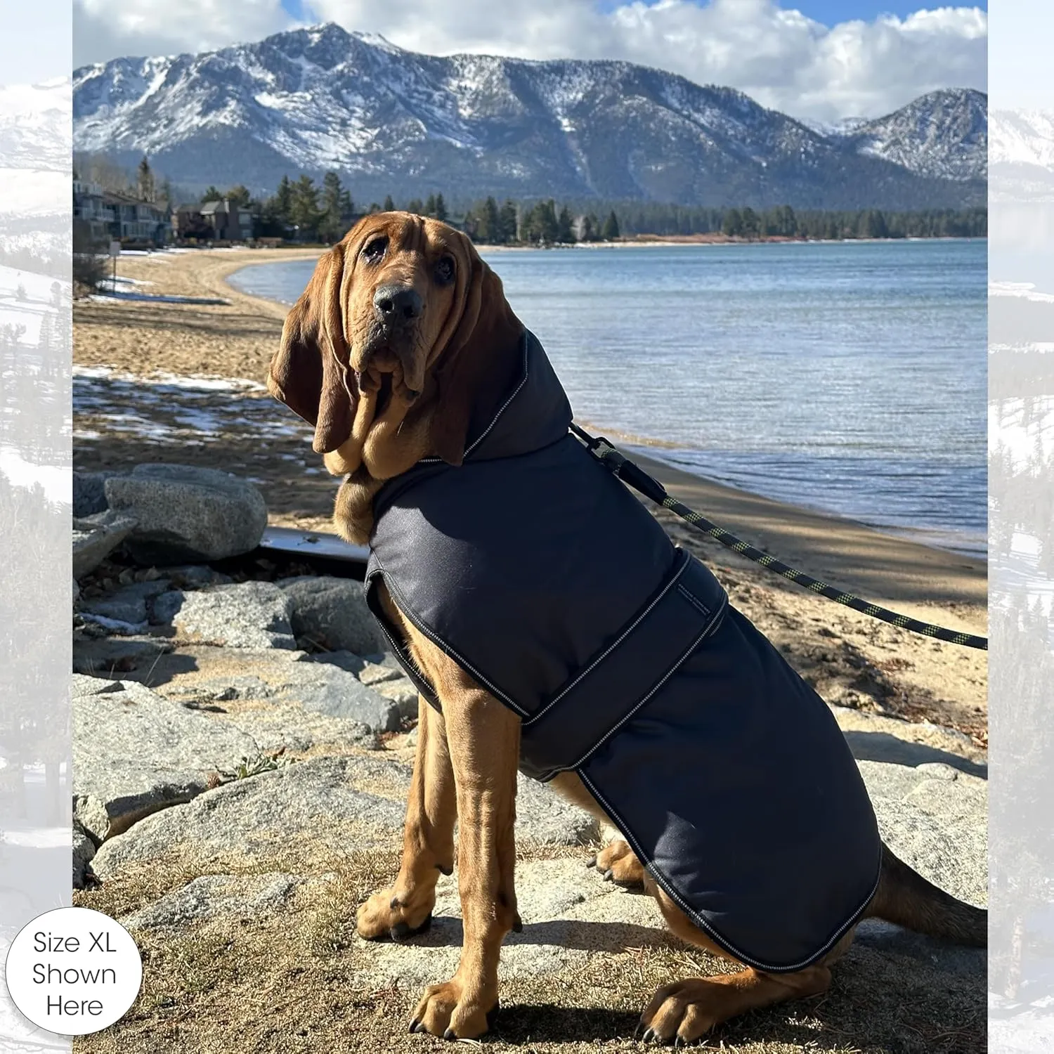 PetRageous 7303CGS Juneau Waterproof Winter Dog Coat with Full Chest Coverage and Leash Opening - 11-Inch Long Heavyweight Jacket for Small Dogs and Puppies, Charcoal Grey