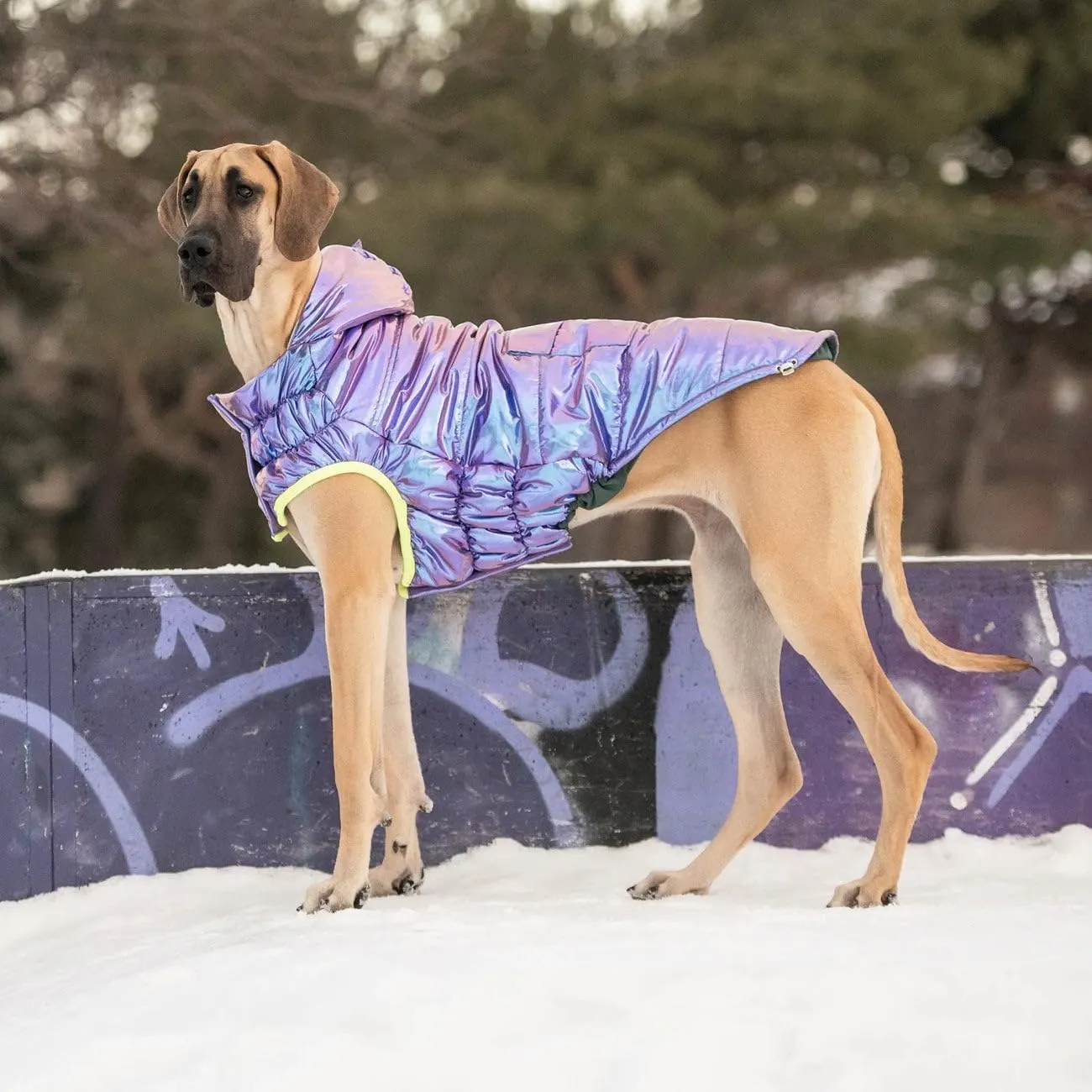 Recycled Parka Dog Coat  Earth-Friendly Waterproof Dog Jacket | Warm Lining, Classic Style | Outwear for Small Medium Large Dogs  Iridescent - XS