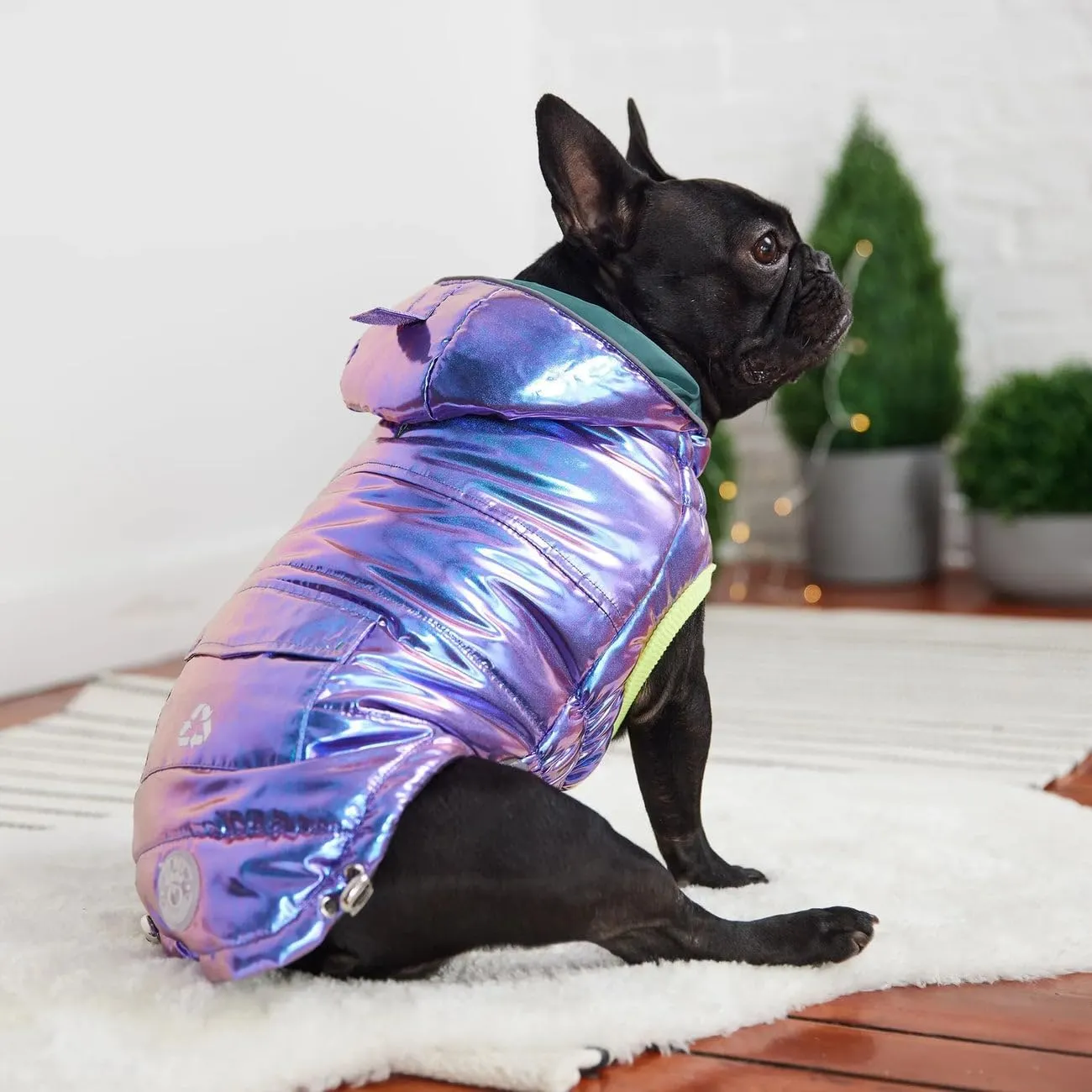 Recycled Parka Dog Coat  Earth-Friendly Waterproof Dog Jacket | Warm Lining, Classic Style | Outwear for Small Medium Large Dogs  Iridescent - XS