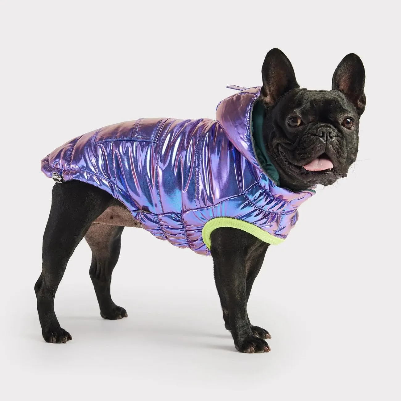 Recycled Parka Dog Coat  Earth-Friendly Waterproof Dog Jacket | Warm Lining, Classic Style | Outwear for Small Medium Large Dogs  Iridescent - XS