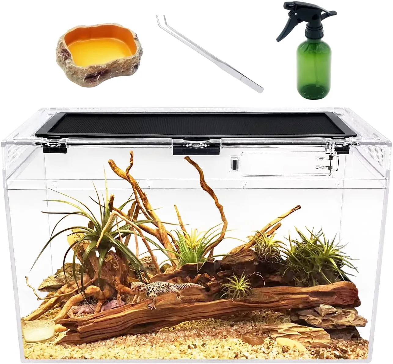 Reptile Terrarium,16" x 8"x 10" Reptile Tank with Full View Visually Appealingfor InsectFishTarantulaHermit CrabJumping SpiderIguanaTortoiseLeopard GeckoFrogBearded Dragon