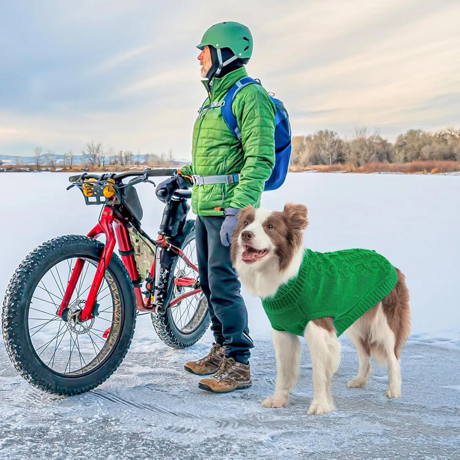 SCENEREAL Knitted Dog Sweater for Small Medium Large Dogs, Cat Dog Winter Coat Warm Sweartershirts Outfits, Classic Pet Clothes with Leash Hole, Soft Pet Knitwear Apparel for Girls Boys, Green SM