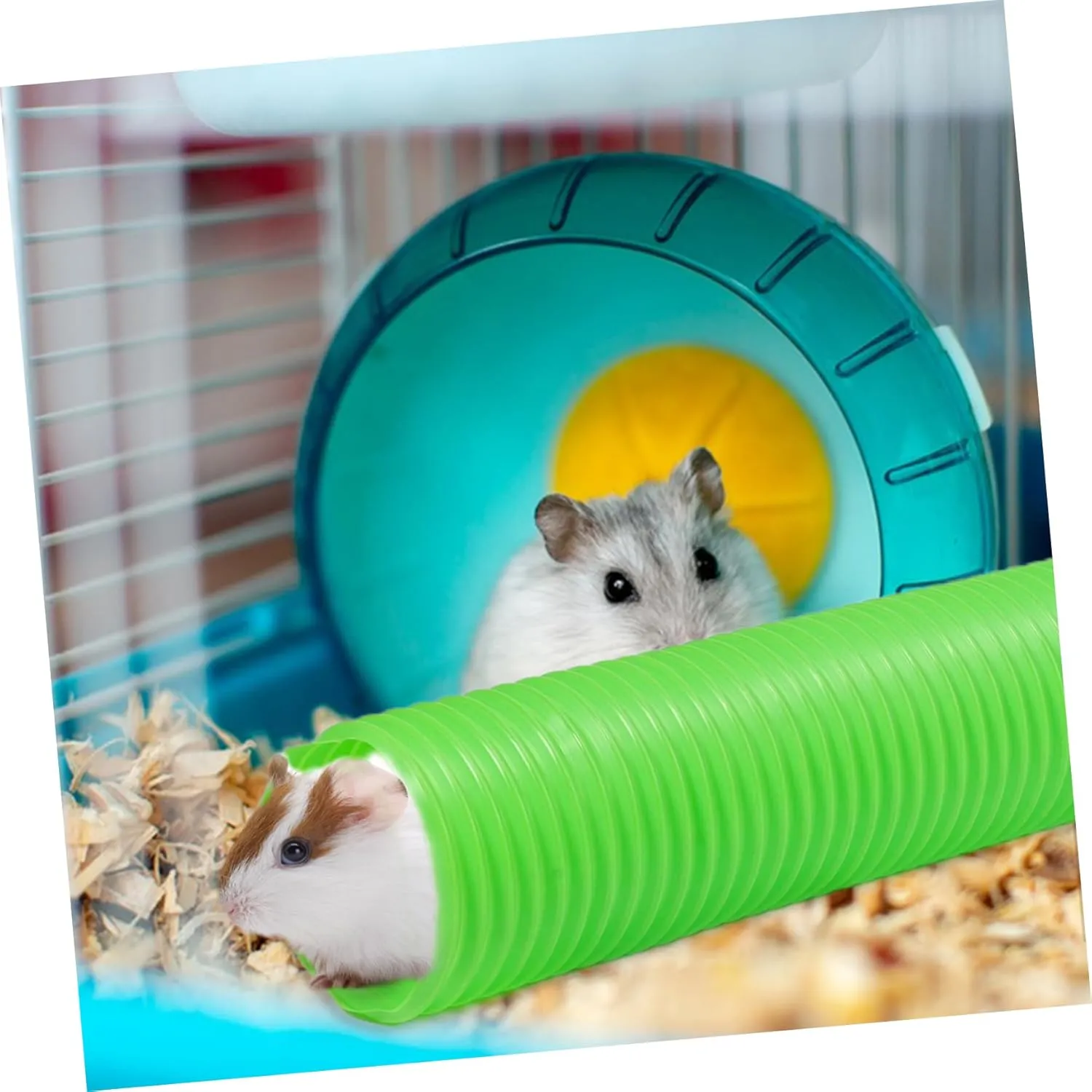 Small Animal Tunnel, Small Ferrets Plaything Outdoor Green Hideway Plastic Guinea Pigs Hamster Tunnel Tube, Training Fun Rats Exercising Play Toy for Hiding Training
