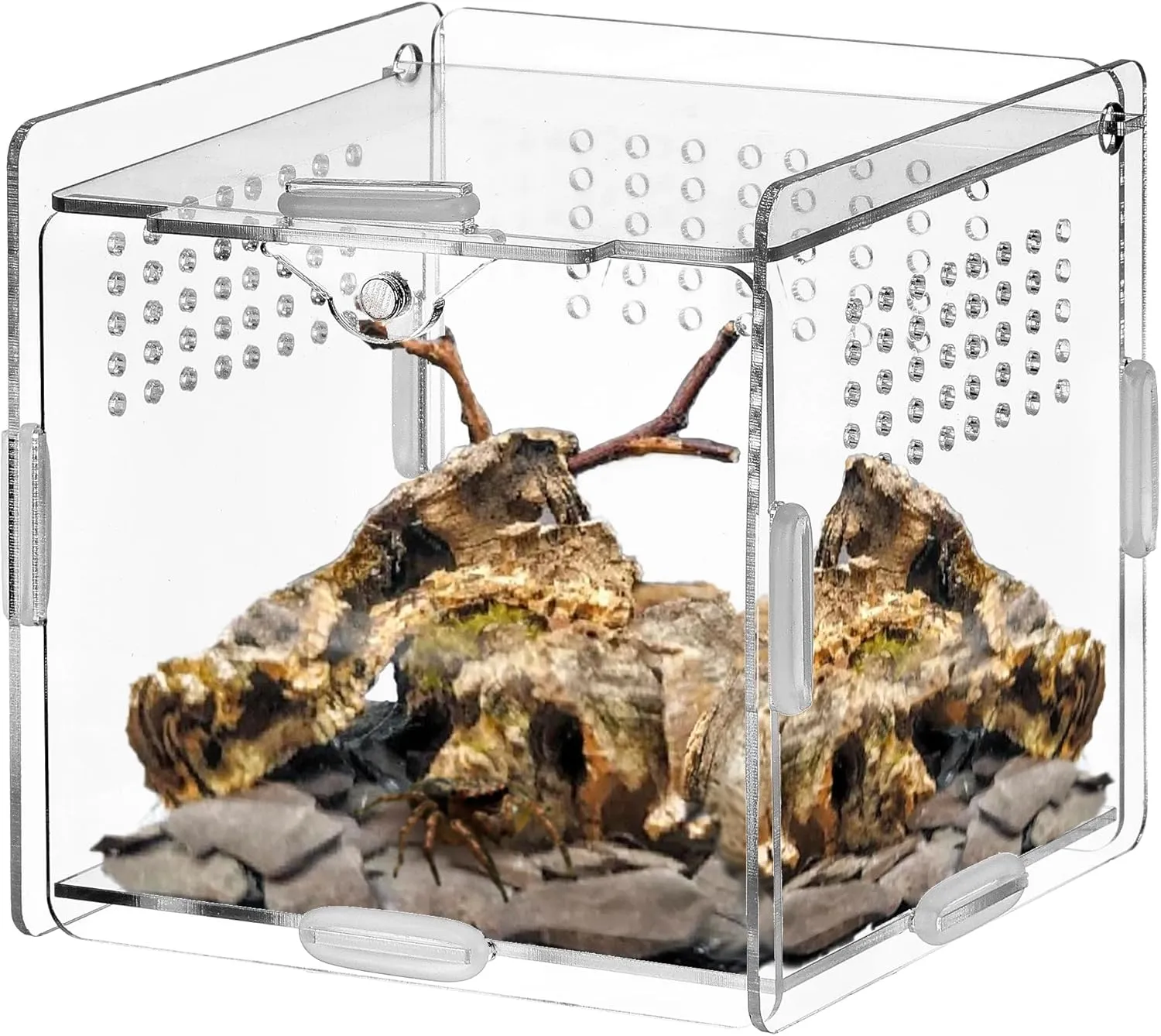 VERTUPET Jumping Spider Enclosure, 4''x4''x4'' Acrylic Arboreal Reptile Tank, Habitat Transparent Enclosure Breeding Box with Locking Latch for Frog, Crickets, Snails